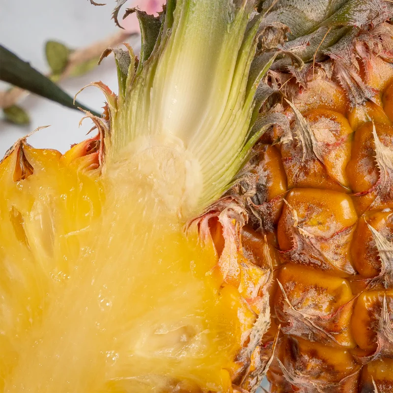 Ananas phulae "micro ananas"