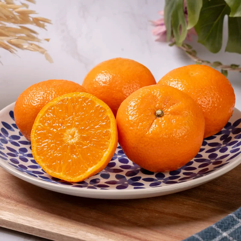 Mandarine Soculente "orri"