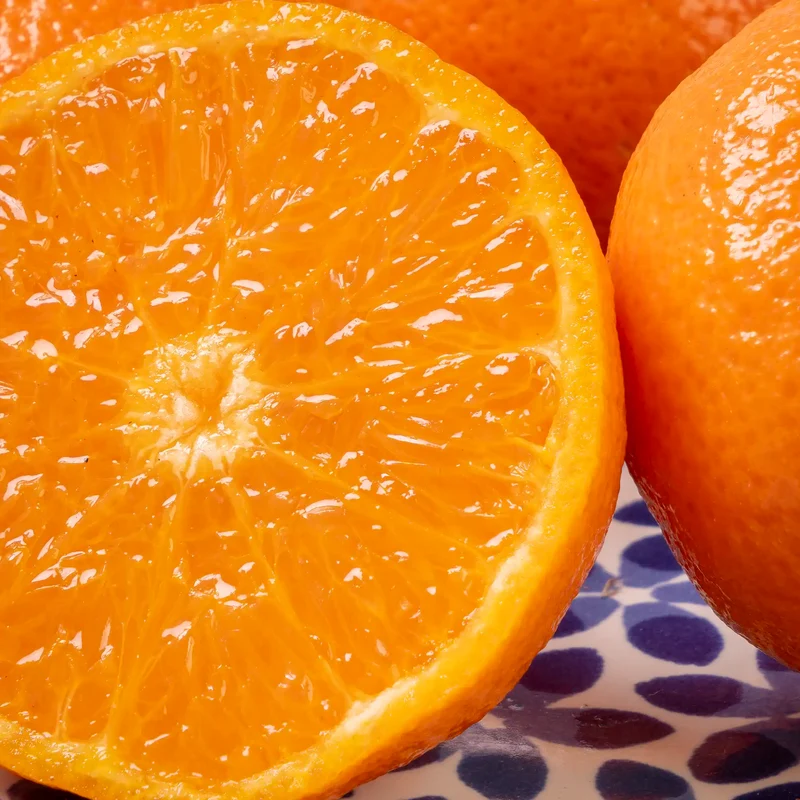 Mandarine Soculente "orri"