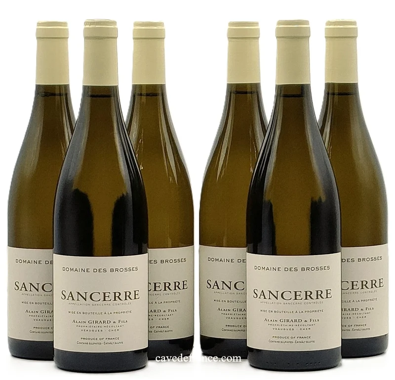 Sancerre Domaine des Brosses X 6