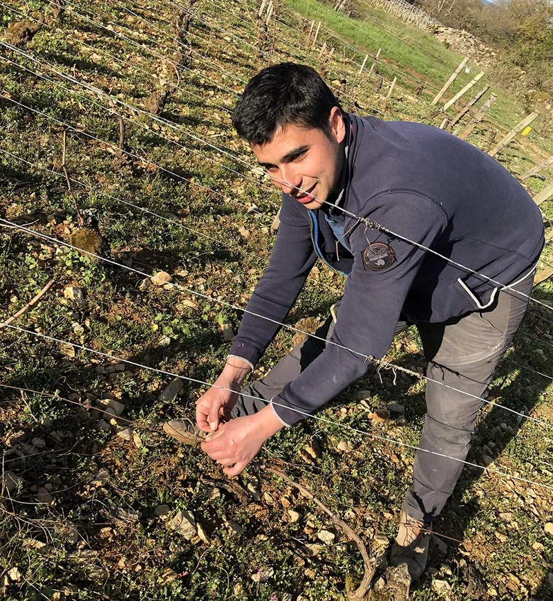 Meursault Les Narvaux - 2023 - Domaine Jobard-Morey