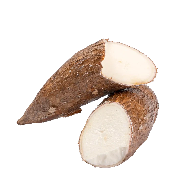 Manioc