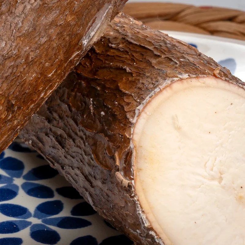 Manioc