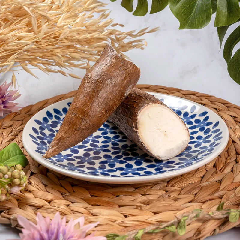 Manioc