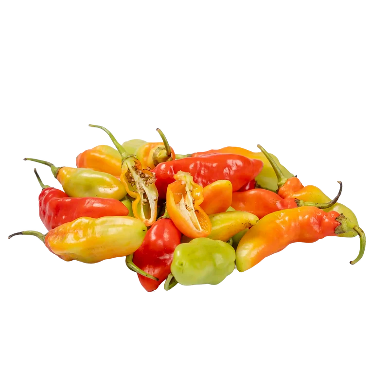 Piment vegetarien