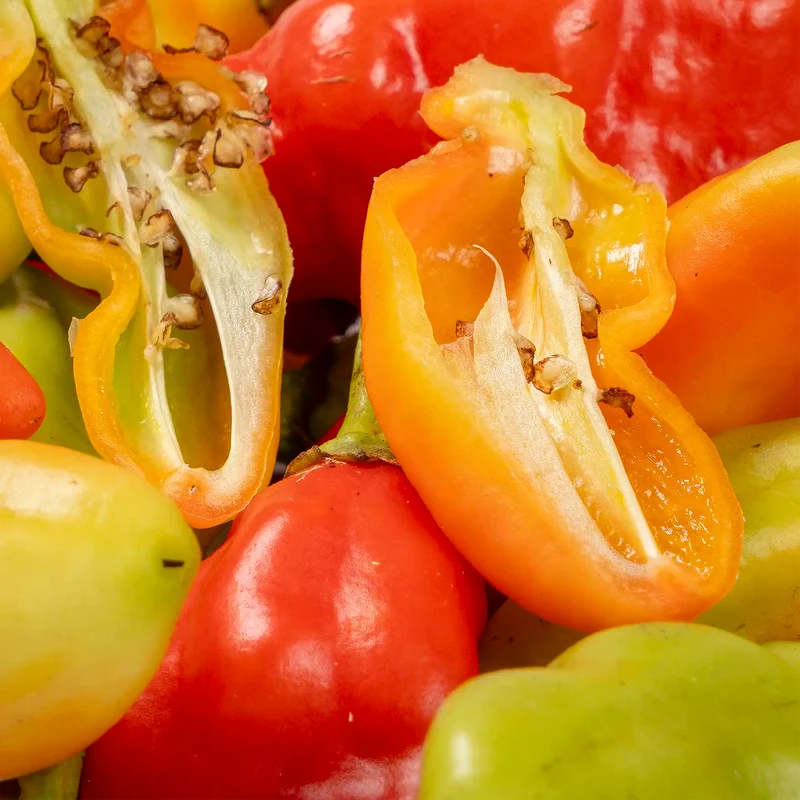 Piment vegetarien
