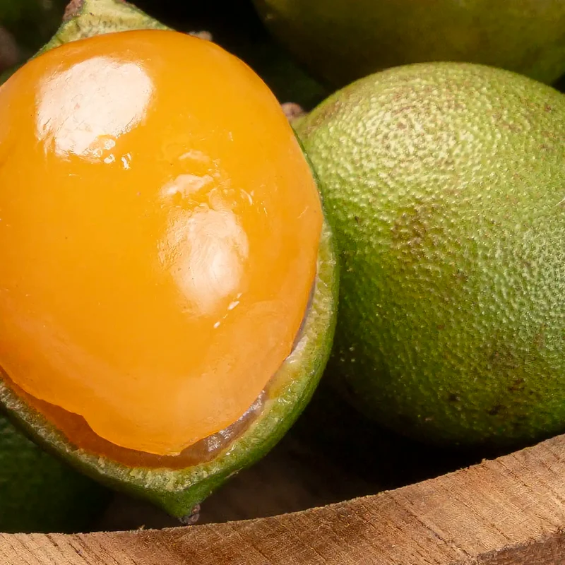 Quenette (mamoncillo) de Guadeloupe