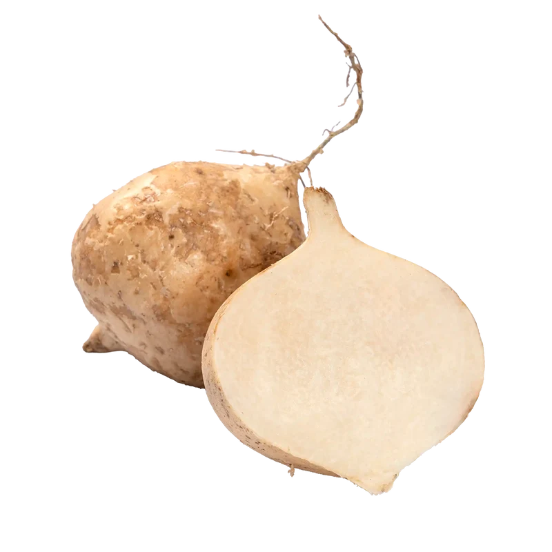 jicama ou pelenga