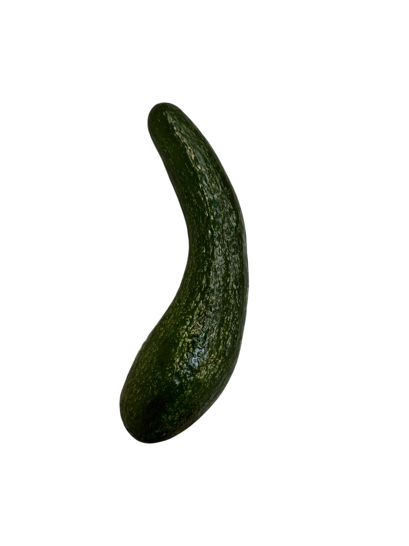 La poutre du Vietnam(Avocat long)