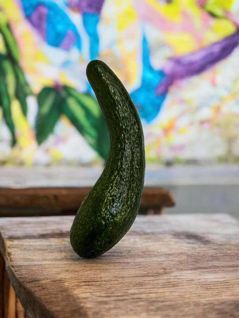 La poutre du Vietnam(Avocat long)