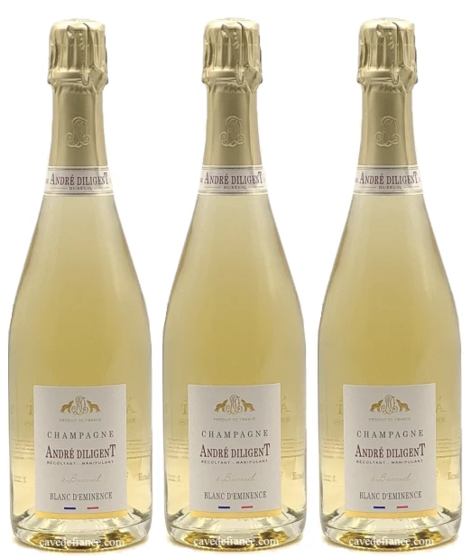 Champagne André Diligent LOT DE 3
