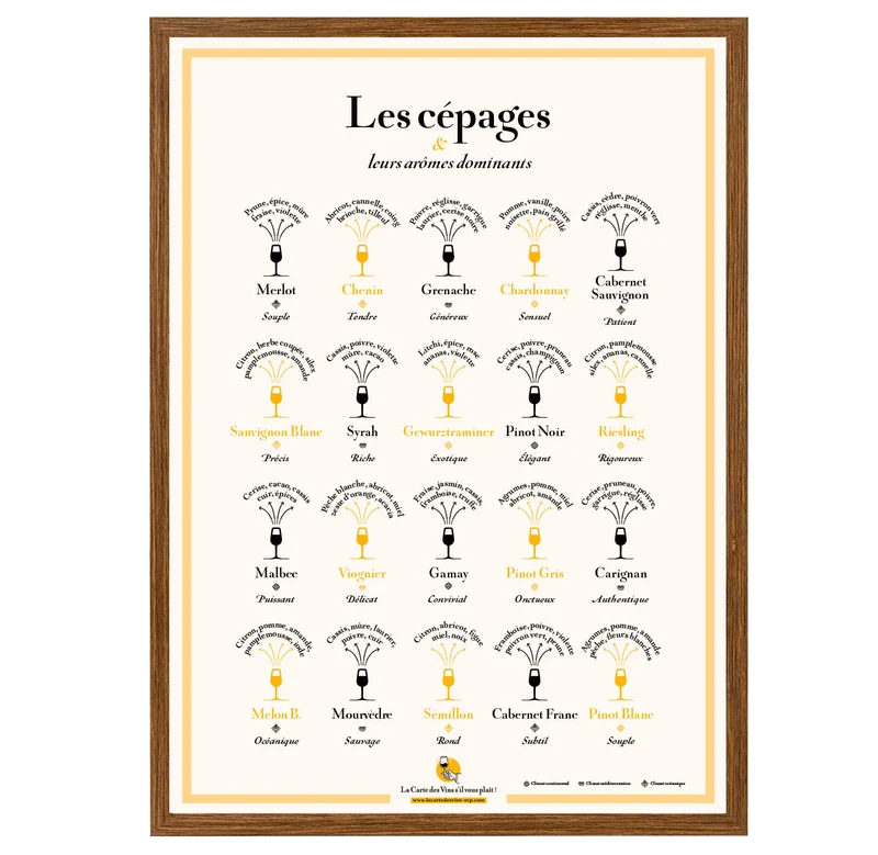 Affiche Les Cépages et leurs arômes dominants