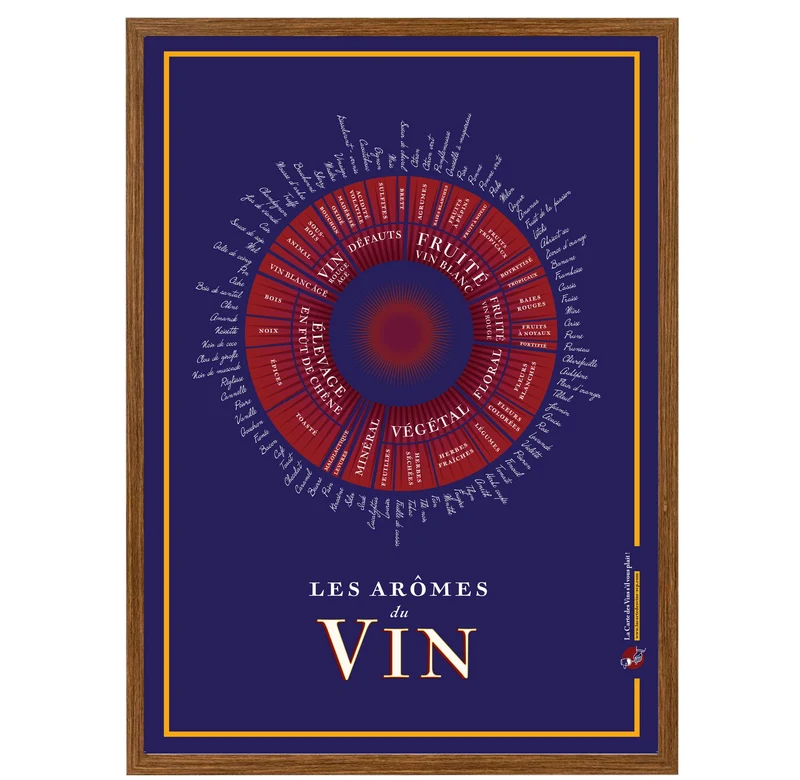 Affiche Les Arômes du vin