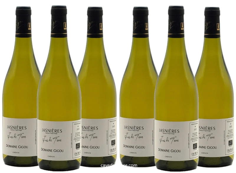 Jasnières Jus de Terre Gigou X 6
