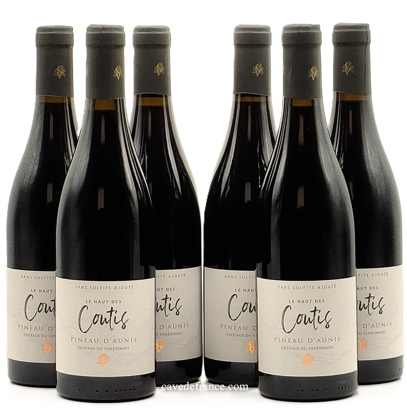 Côteaux du Vendômois rouge - Hauts des Coutis X 6