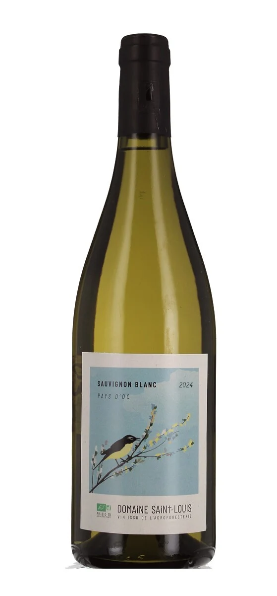 Domaine Saint Louis - Sauvignon - IGP Pays d'Oc - Blanc - 2024