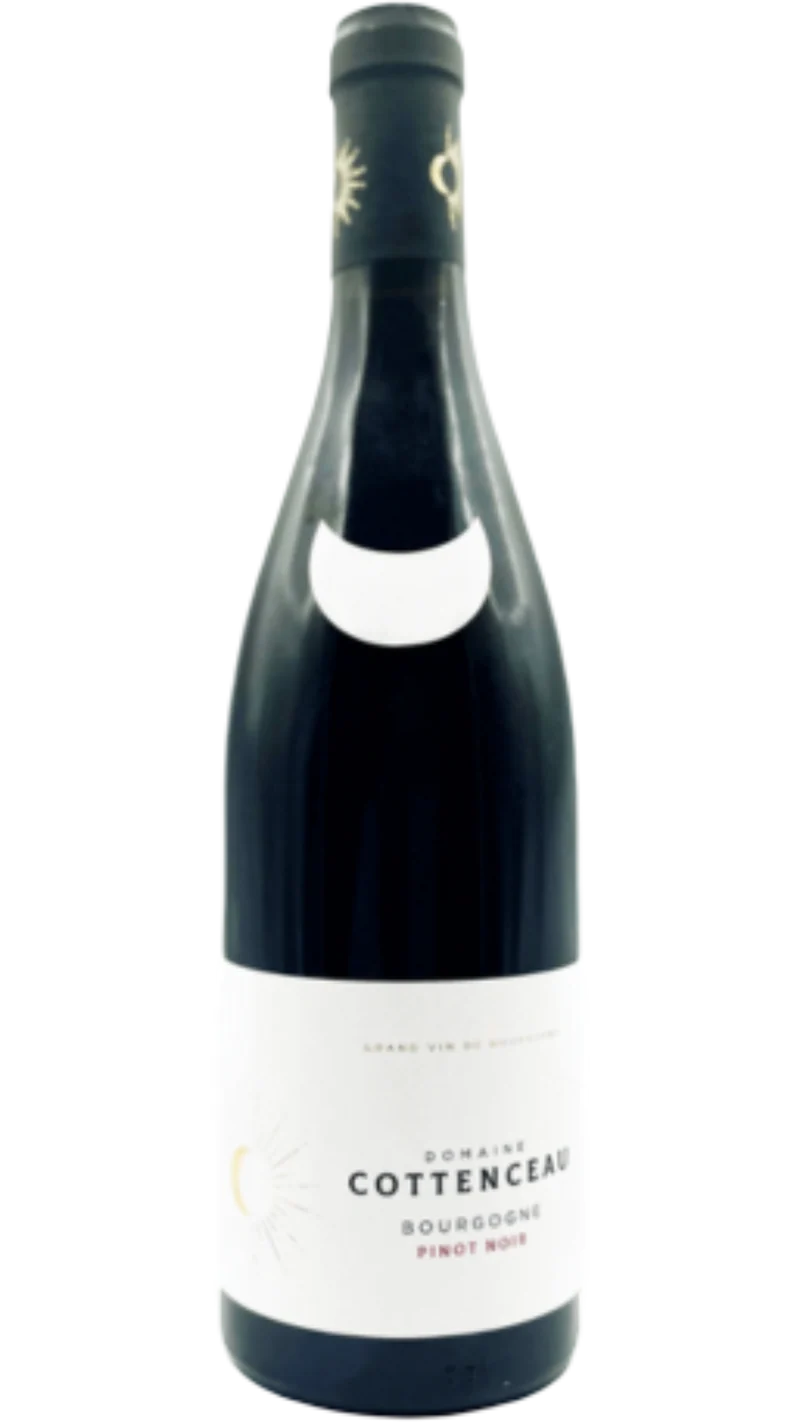 Bourgogne Les Chazelles - 2023 - Domaine Cottenceau