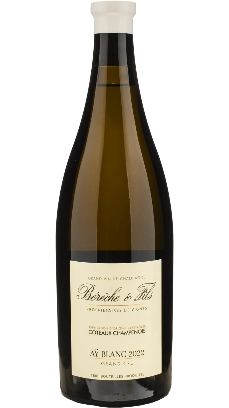 Coteaux Champenois Aÿ Grand Cru - 2023 - Bérêche & Fils