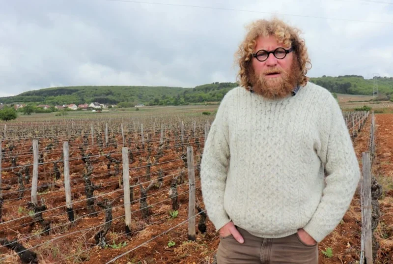 Marsannay Clos du Roy - 2022 - Domaine Sylvain Pataille