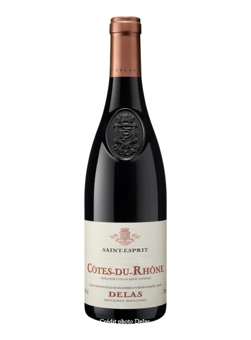 Delas Côtes du Rhône Saint Esprit 2022