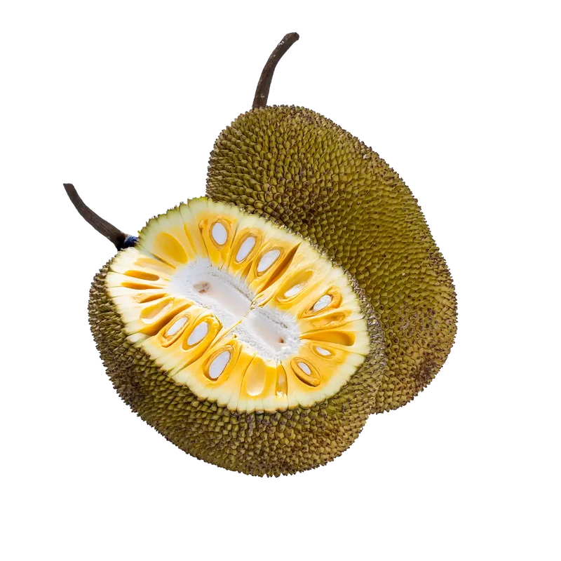 Fruit du jacquier (10Kg)