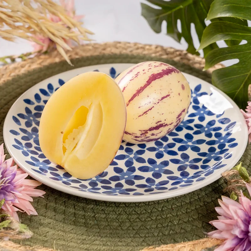 Pepino melon