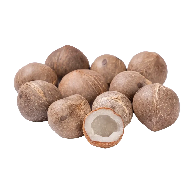 Coquito épluche (mini noix de coco)