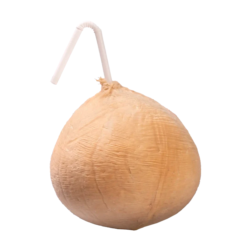 Noix De Coco Extra Fresh
