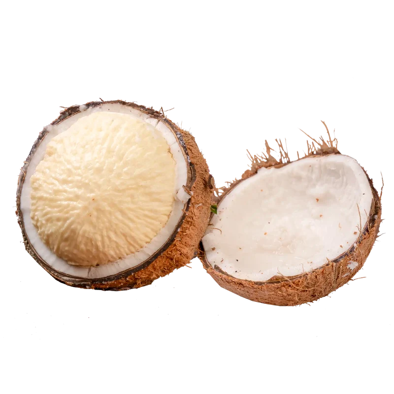 Noix de coco germée