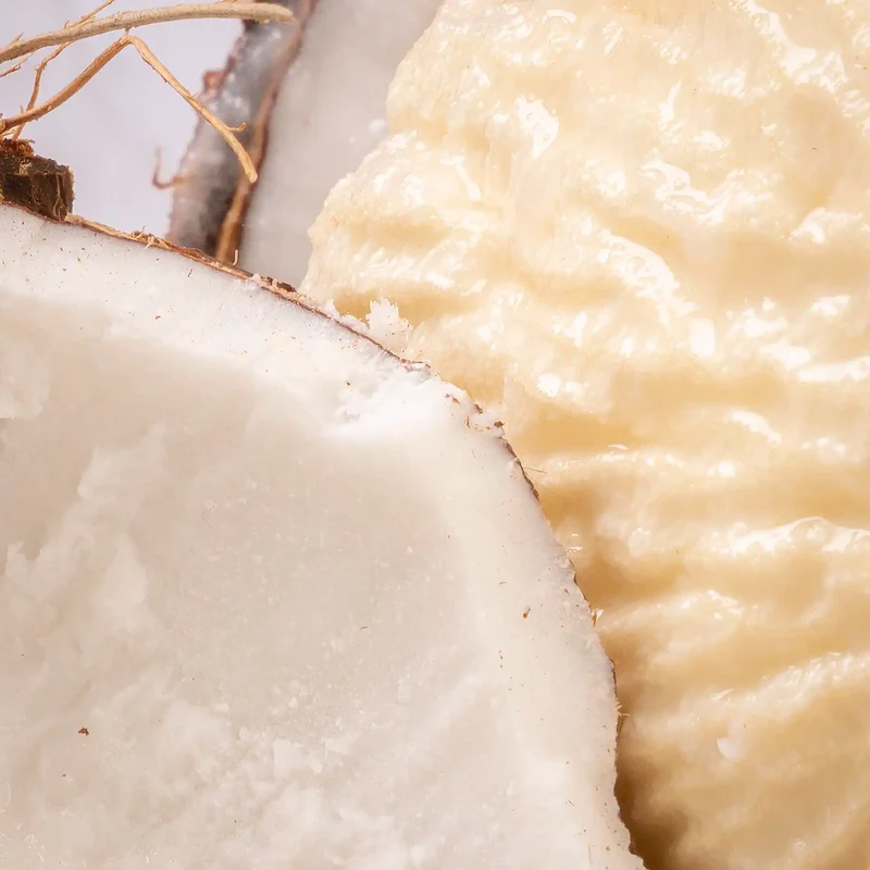 Noix de coco germée