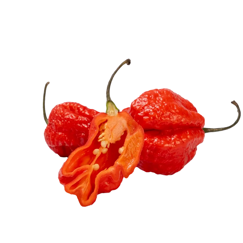 Piment frais carolina reaper (50 g)