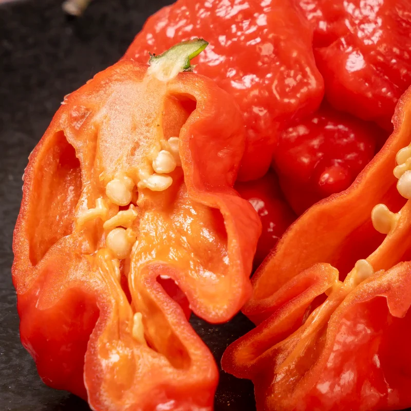 Piment frais carolina reaper (50 g)