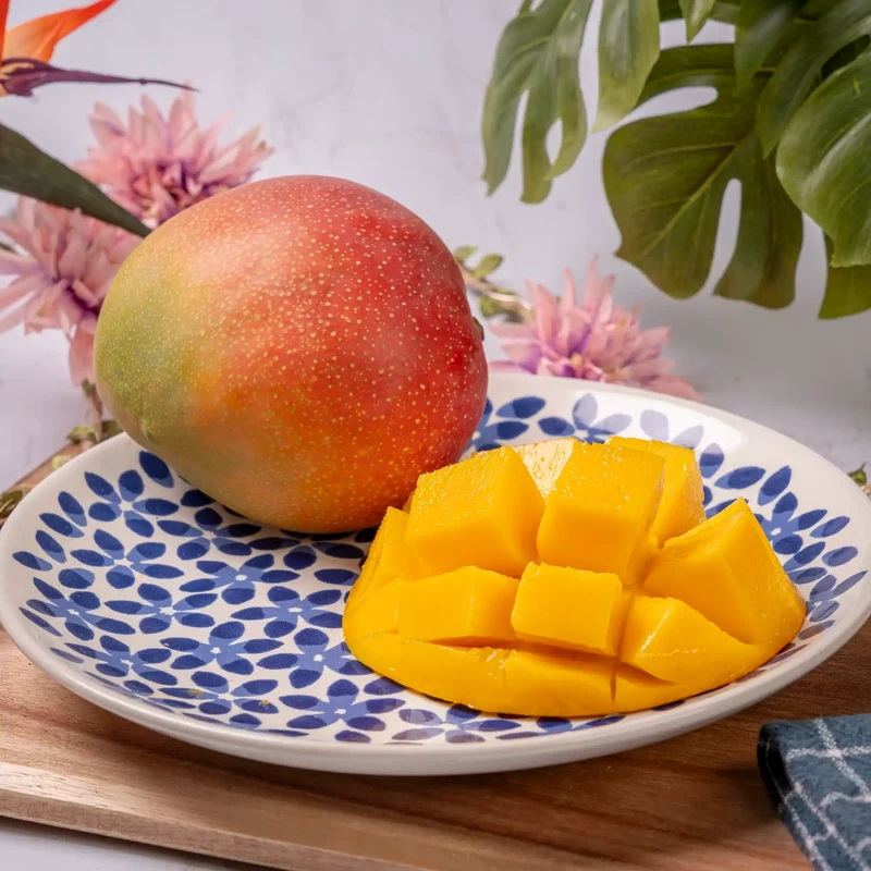 Mangue Kent