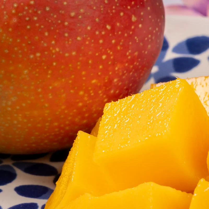 Mangue Kent