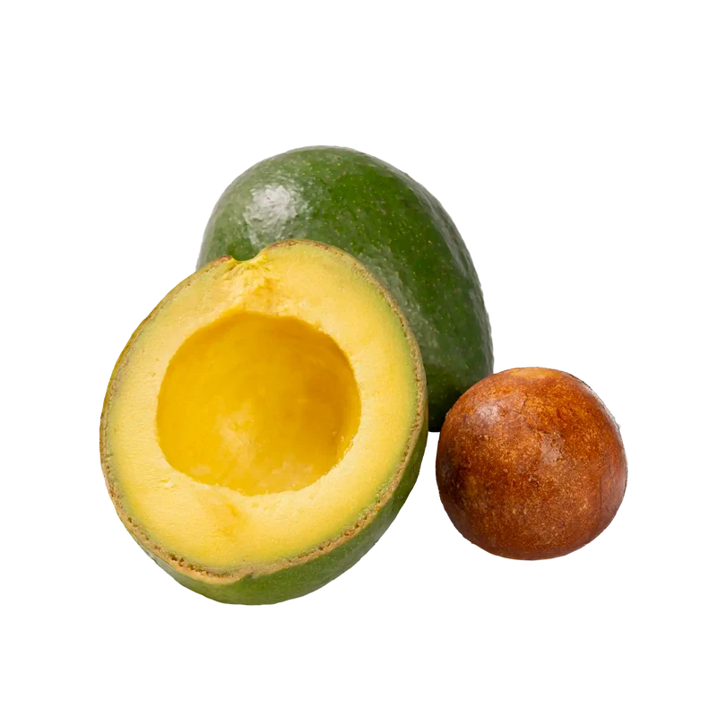 Avocat Tropical