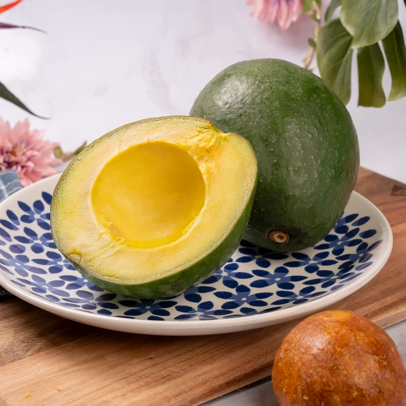 Avocat Tropical