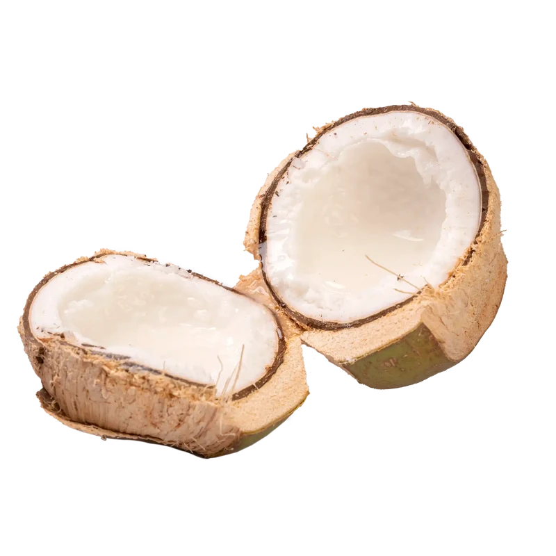 Coco Macapuno