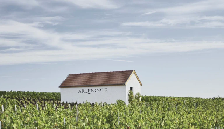 Champagne Brut Zéro V19 - Maison AR Lenoble