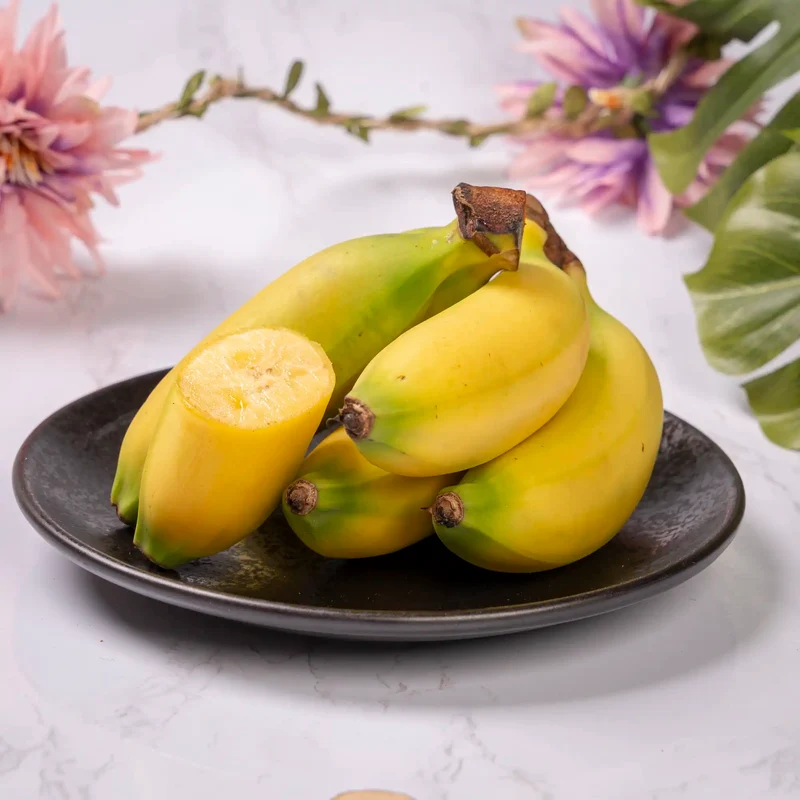 Banane frécinette de Guadeloupe (expédiée verte)