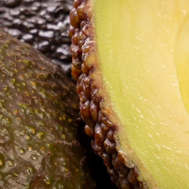 Avocat Hass