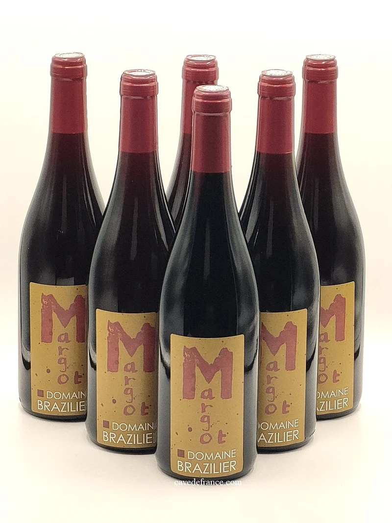 Vendôme - Pineau d'Aunis Margot X 6