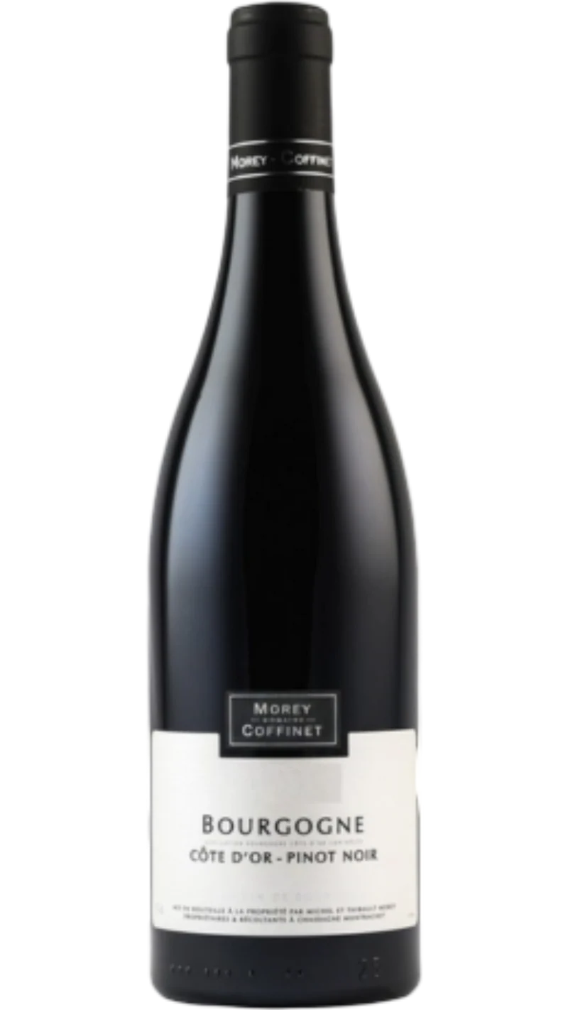 Bourgogne Côte-d'Or Pinot Noir - 2024 - Domaine Morey-Coffinet