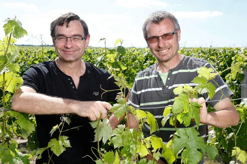 Chinon Clos Lulu - 2020 - Pascal et Alain Lorieux
