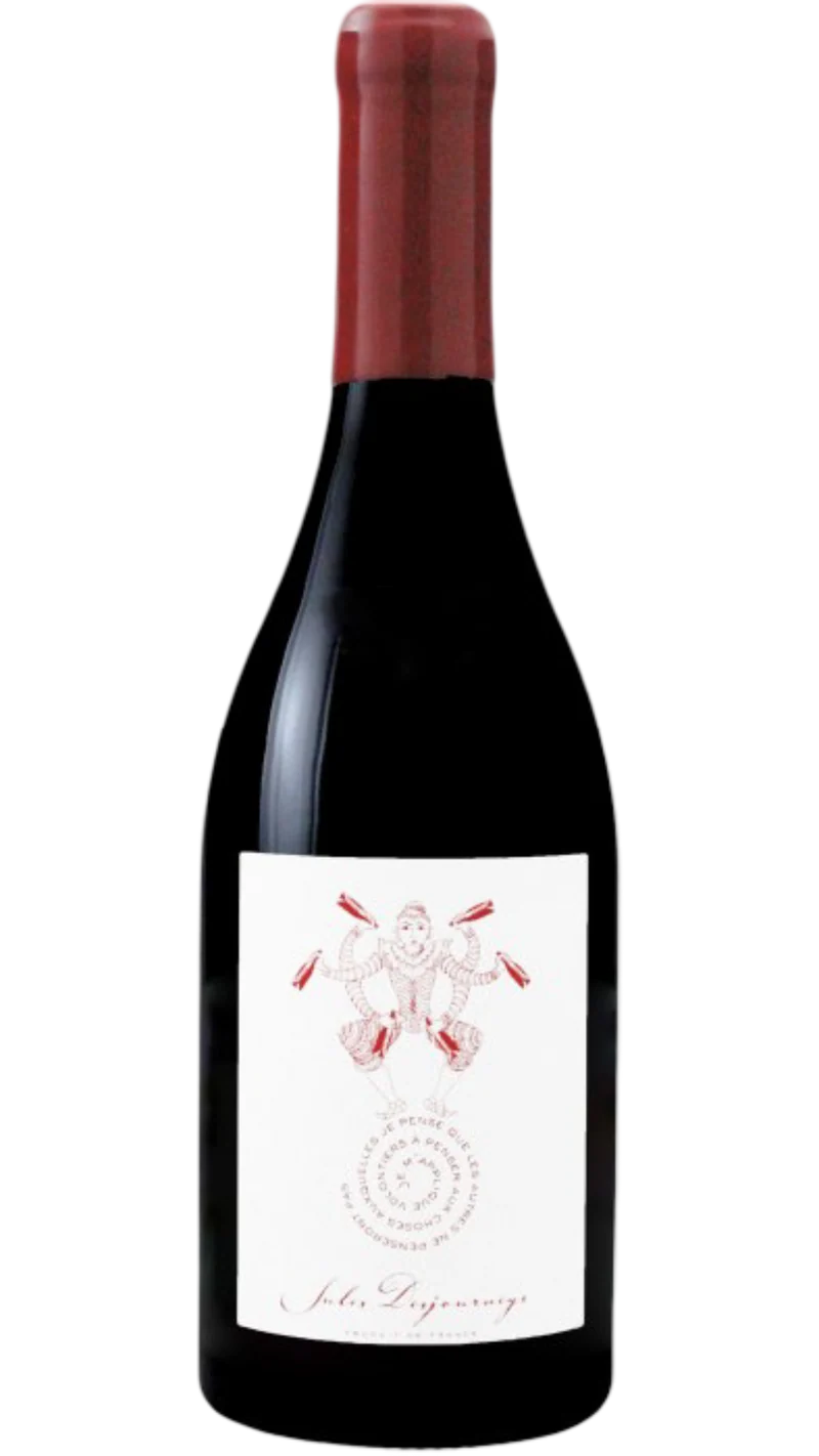 Beaujolais rouge - 2021 - Domaine Jules Desjourneys