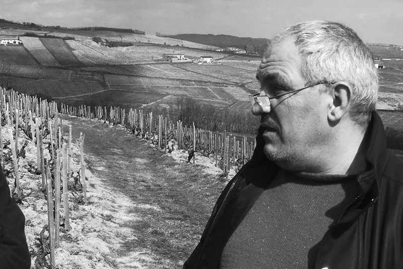 Beaujolais rouge - 2021 - Domaine Jules Desjourneys
