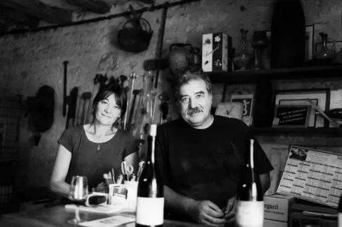 Bourgueil Jour de Soif - 2022 - Domaine du Bel Air