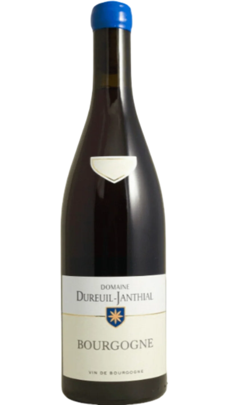 Bourgogne - 2023 - Domaine Dureuil-Janthial