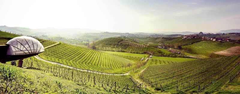 Barolo Bricco Rocche 2019 - 2019 - Ceretto