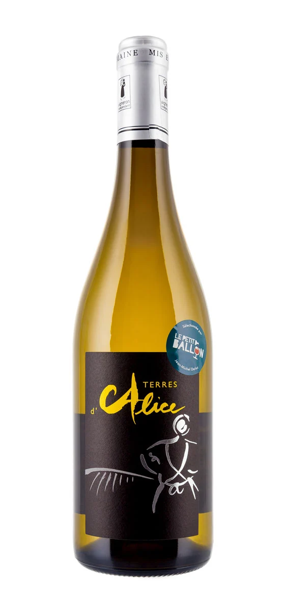 Domaine Pierre André Dumas - AOP Beaujolais - Blanc - 2015