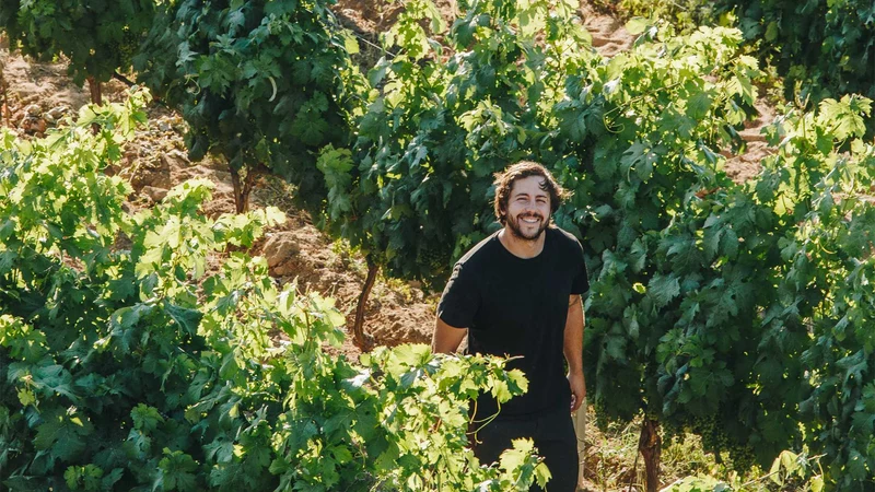 Lume - 2021 - Domaine Alzipratu